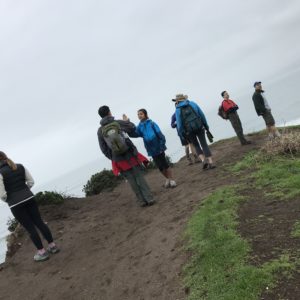Tomales Point Hike
